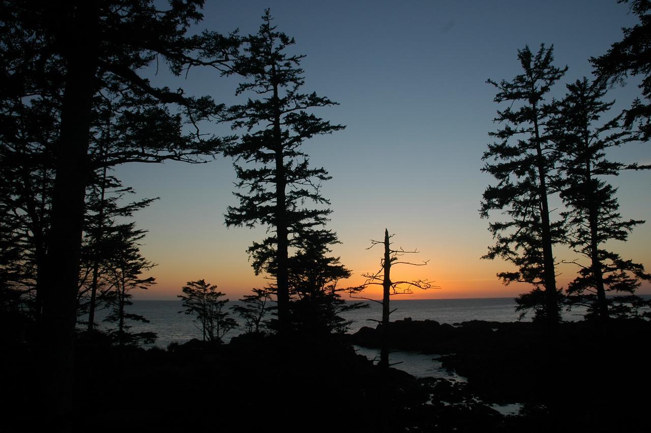 Waters Edge Shoreside Suites Ucluelet Exterior foto